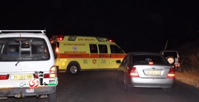 وادي عارة : إصابة متوسطة في حادث اصطدام سيارة بحصان على طريق كفرقرع